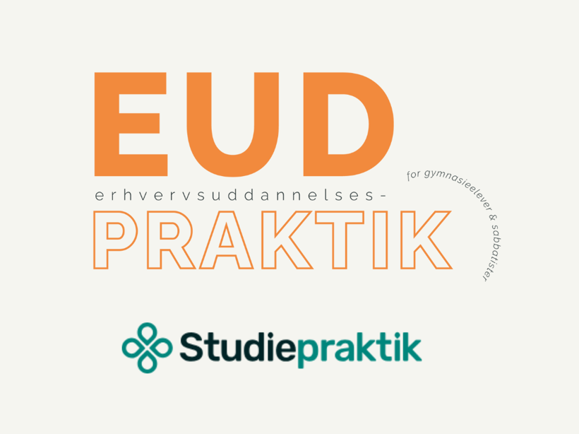 Praktik På En Uddannelse